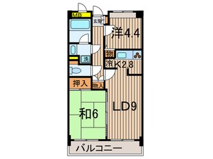 ステラコートの物件間取画像